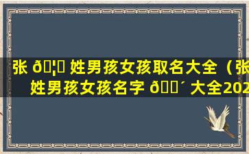 张 🦉 姓男孩女孩取名大全（张姓男孩女孩名字 🌴 大全2020）